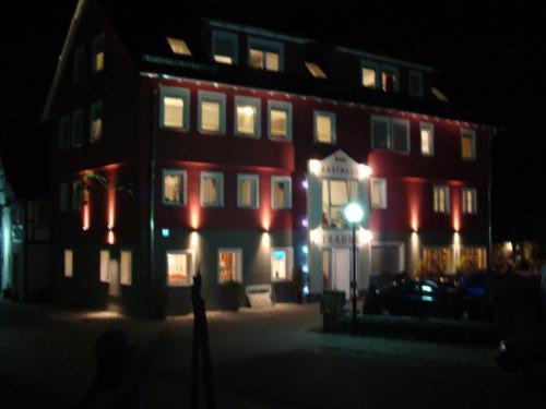 Gasthaus Traube Dettingen an der Erms Εξωτερικό φωτογραφία